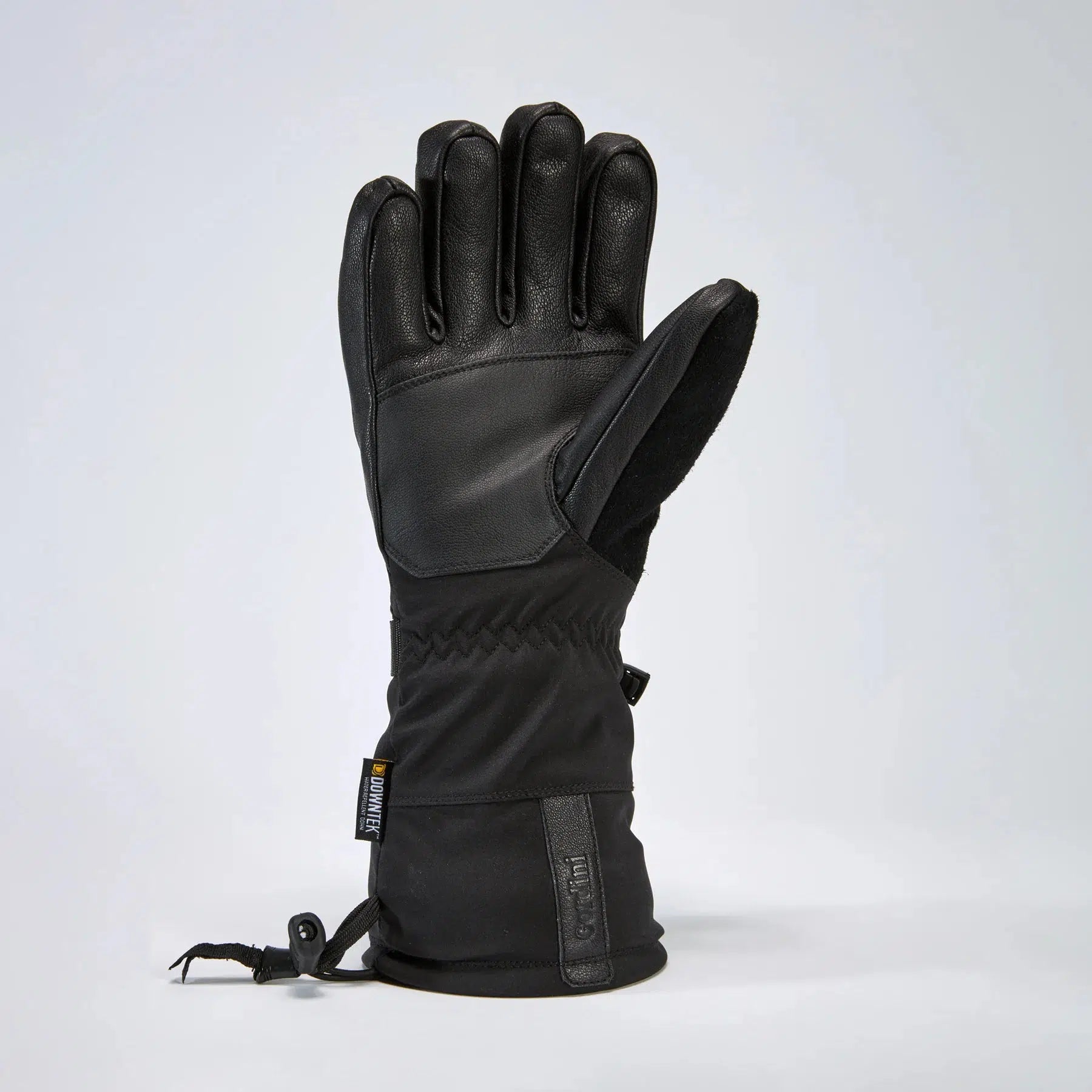 Gordini Men's Polar Glove-Killington Sports