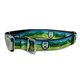 Killington Logo No Stink Dog Collar-Green Mountains-Killington Sports
