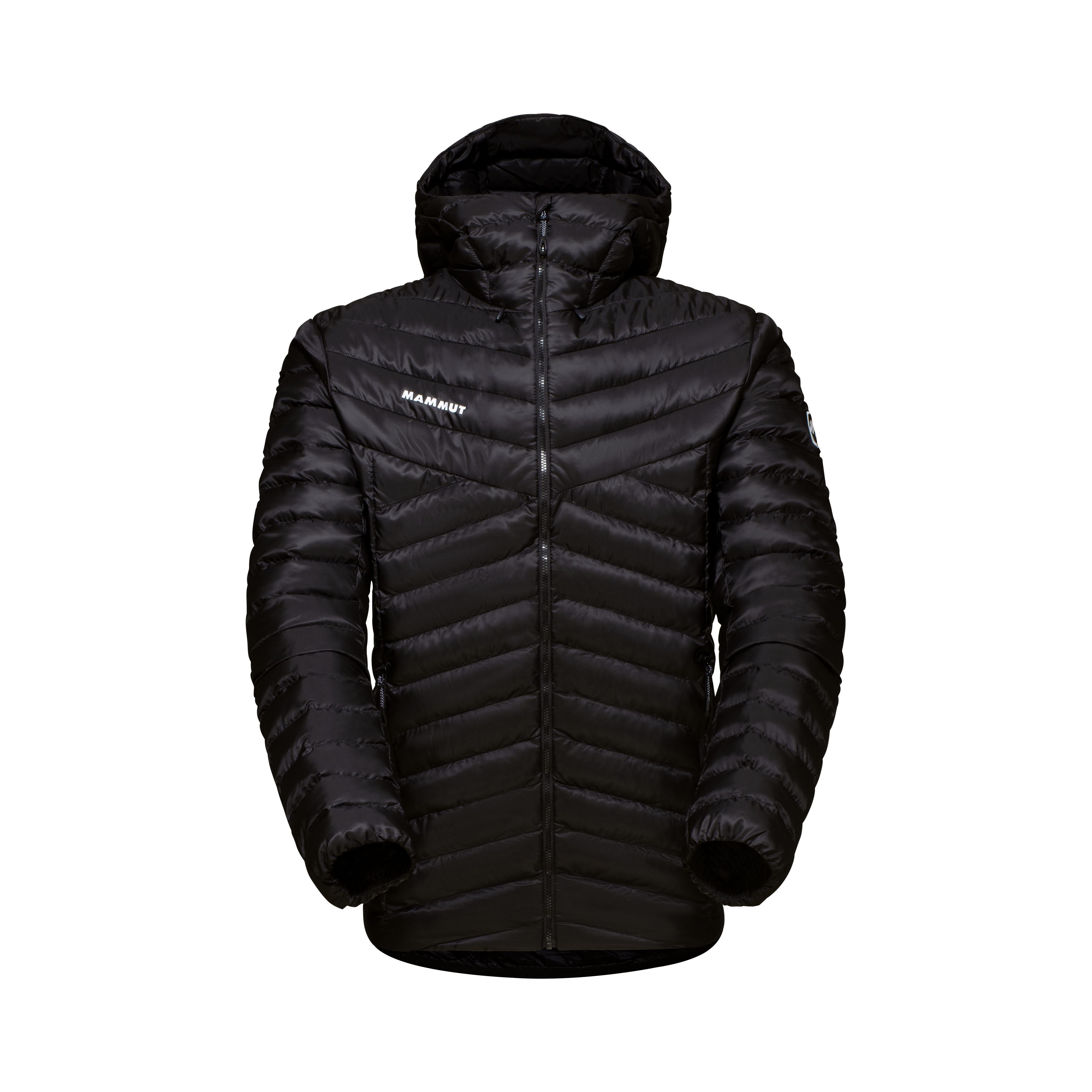 Mammut Men's Albula IN Hooded Jacket-Killington Sports