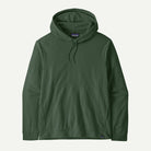 Patagonia Men's Micro D® Fleece Hoody-Canopy Green-Killington Sports