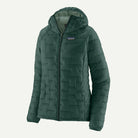 Patagonia Women's Micro Puff® Hoody-Cascade Green-Killington Sports