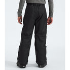 The North Face Boys' Freedom Insulated Pant-Killington Sports