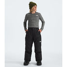 The North Face Boys' Freedom Insulated Pant-Killington Sports