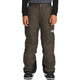 The North Face Boy's Freedom Insulated Pants-New Taupe Green-Killington Sports