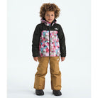 The North Face Kids' Freedom Insulated Jacket - Print-Killington Sports