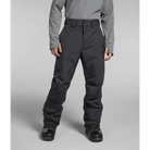 The North Face Men's Freedom Insulated Pant-Killington Sports