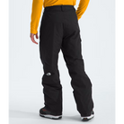 The North Face Men's Freedom Insulated Pant-Killington Sports