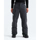 The North Face Men's Freedom Insulated Pant-Anthracite Grey-Killington Sports