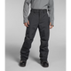 The North Face Men's Freedom Insulated Pant-Asphalt Grey-Killington Sports