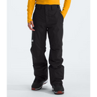 The North Face Men's Freedom Insulated Pant-Killington Sports