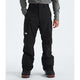The North Face Men's Freedom Pant-TNF Black-NPF-Killington Sports