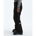 The North Face Men's GTX Dawnstrike Pant-Killington Sports