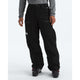 The North Face Men's GTX Dawnstrike Pant-TNF Black-Killington Sports
