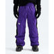 The North Face Men's Slider Pant-Peak Purple/TNF Black-Killington Sports