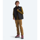 The North Face Men's Terra Peak Vest-Killington Sports
