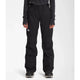 The North Face Women's Freddom Insulated Pant-TNF Black-Killington Sports