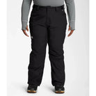 The North Face Women's Plus Freedom Insulated Pant-Killington Sports