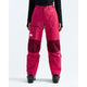 The North Face Women's Summit Eastwall GTX Pant-Lali Guran/Burgundy Crush-Killington Sports
