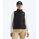 The North Face Women's Terra Peak Vest-TNF Black-Killington Sports
