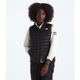 The North Face Women's Terra Peak Vest-TNF Black-Killington Sports